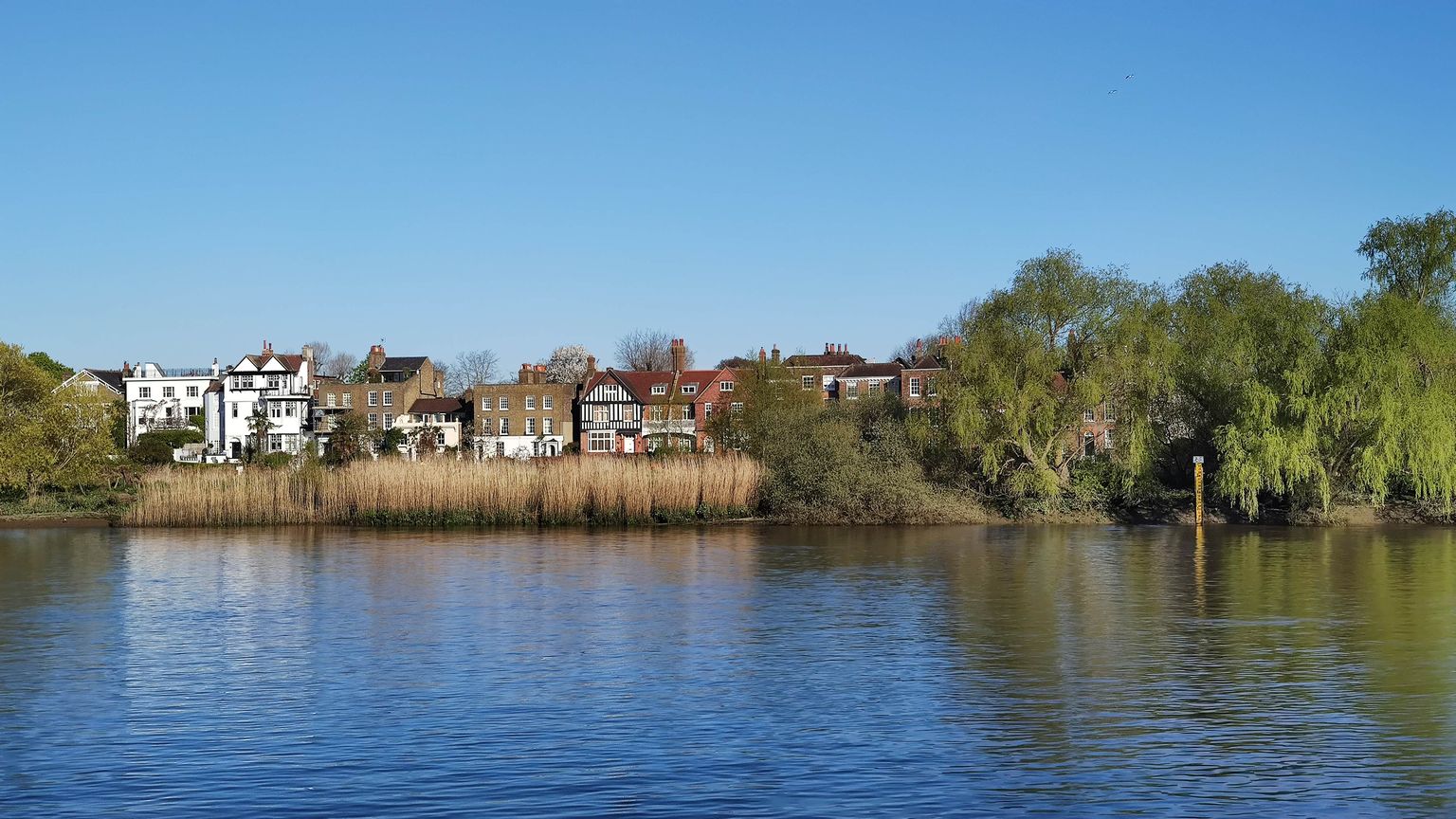 Chiswick Mall from the Thames at Chiswick Eyot
