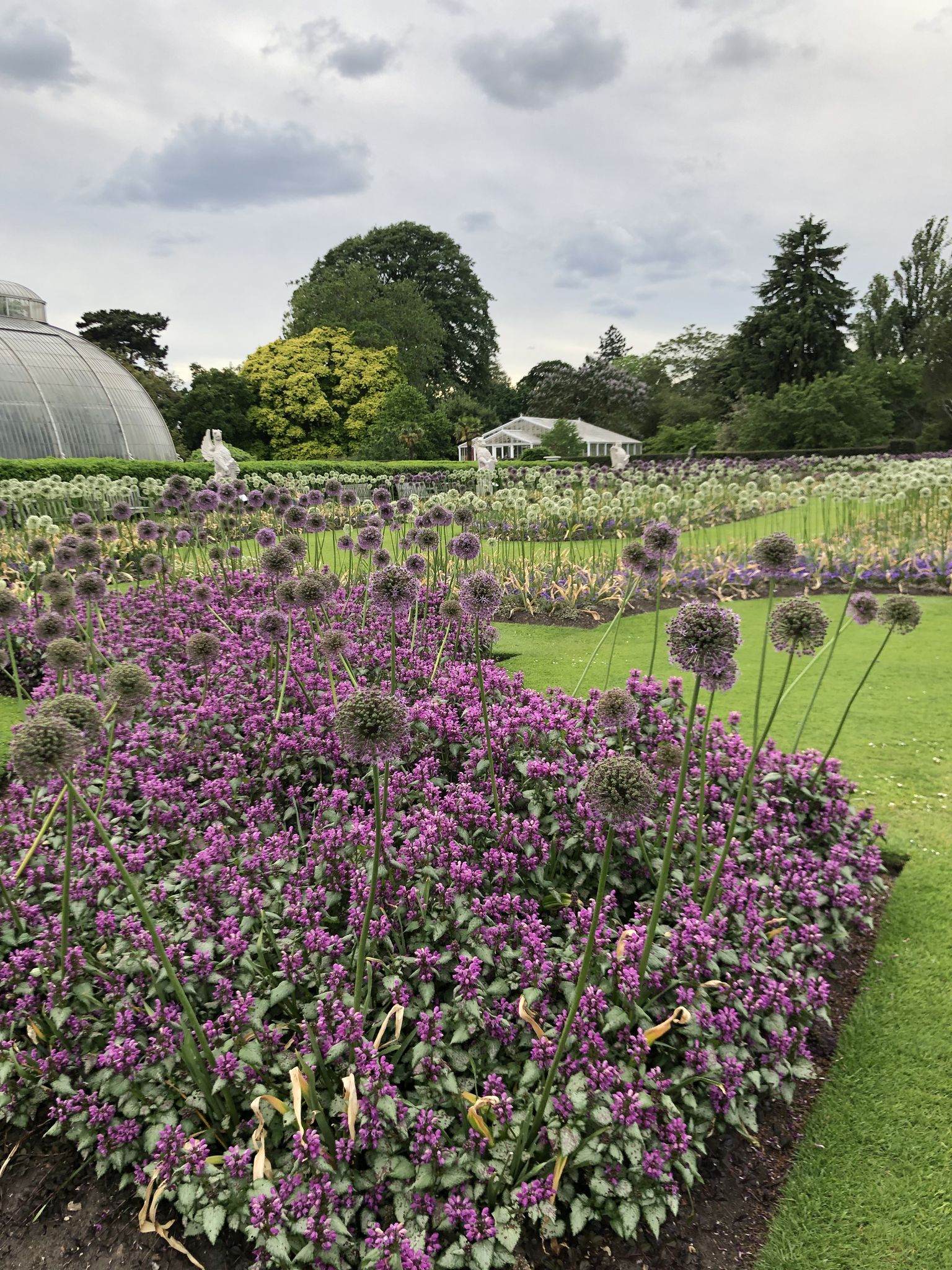 Summer borders and the Palm House at Kew Gardens