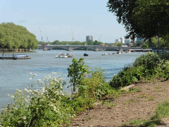 The Thames Path near Craven Cottage, looking to Putney Bridge